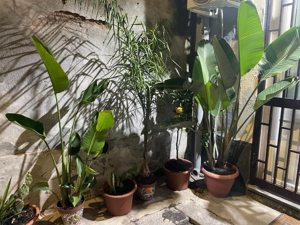 דירות קטאניה Conny'S House מראה חיצוני תמונה